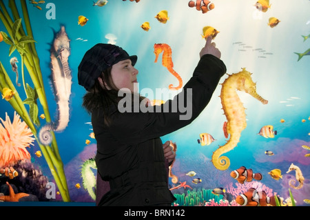 Polnische Touristen junges Mädchen 10-11 Jahre alten Teenager Profil zeigt auf dem Display an EU, UK, England, London Aquarium Fische Stockfoto