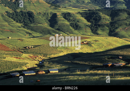 Die Landschaft im Bereich Injasuti zeigt die verstreuten Ländereien von Kleinbauern, Zulu Landhäuser und sanften Hügeln Stockfoto