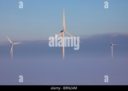 Nebel in Windkraftanlagen, Nordfriesland, Schleswig-Holstein, Deutschland. Stockfoto