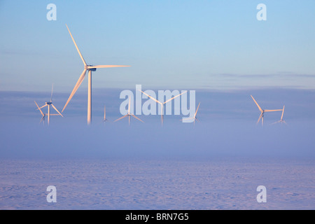 Nebel in Windkraftanlagen, Nordfriesland, Schleswig-Holstein, Deutschland. Stockfoto