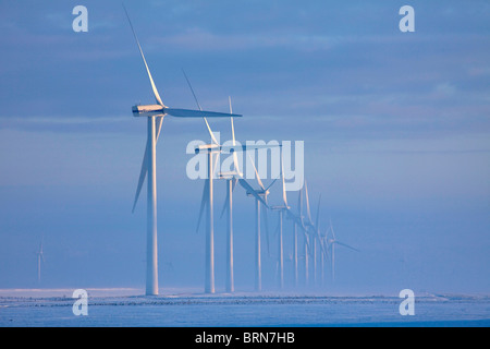 Nebel in Windkraftanlagen, Nordfriesland, Schleswig-Holstein, Deutschland. Stockfoto