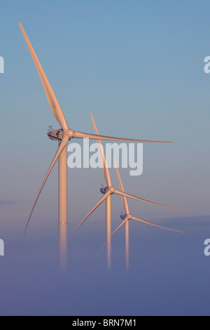 Nebel in Windkraftanlagen, Nordfriesland, Schleswig-Holstein, Deutschland. Stockfoto