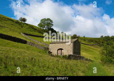 Landschaft mit einer stillgelegten Scheune neben Skyreholme Beck in der Nähe von Parcevall Halle nr Wharfedale North Yorkshire Stockfoto