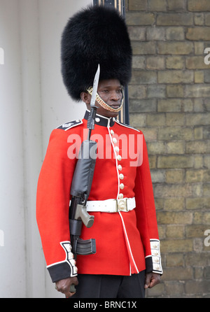 Eine schwarze Grenadier königlichen Garde Soldat Clarence House London UK Europe Stockfoto