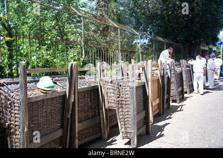 Monte Rodelbahn - Funchal - Madeira Stockfoto