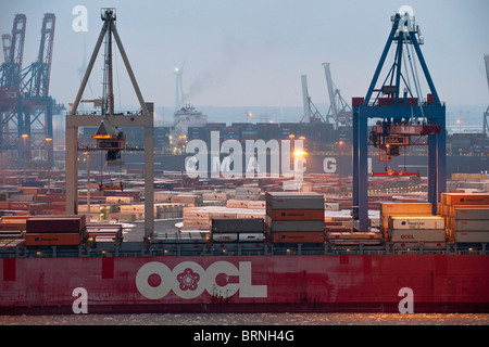 Europa Deutschland Hamburg, Fluss Elbe, HHLA Container terminal Burchardkai im Winter Stockfoto