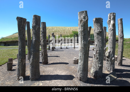 Ansicht der wichtigsten Hügel, Knowth Jungsteinzeit Ganggrab, Boyne Valley, Irland Stockfoto