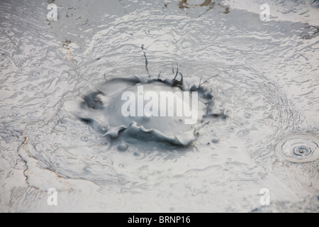 Sprudelnden Schlammpfützen im Bereich Geothermie Hverir in der Nähe von Myvatn, Nordisland. Stockfoto
