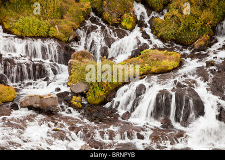 Hraunfossar Wasserfälle in der Nähe von Husafell in Island am Fluss Hvita. Stockfoto