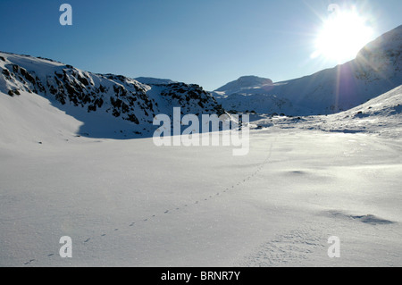 Eine Reihe von Fuchsspuren kreuzt die Schnee bedeckten Gipfel der Seathwaite fiel im Lake District. Stockfoto