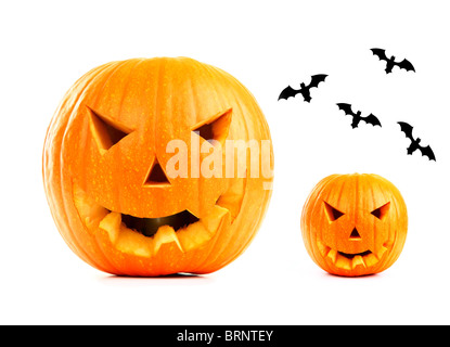 Halloween-Kürbis & Fledermäuse isoliert auf weißem Hintergrund Stockfoto