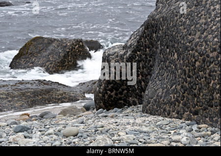 Felsvorsprung von endständigen Granit Naturschutzgebiet, 15km nördlich von Caldera, Pazifikküste, Chile, Südamerika Stockfoto