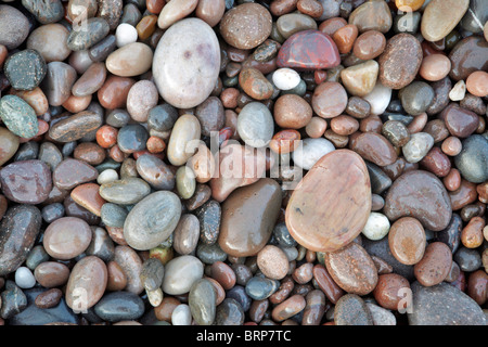 Kieselsteine am Strand von Inverbervie, Aberdeenshire Stockfoto