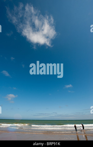 Schöne Aussicht auf einen sandigen Strand bei Cromer in England an einem sonnigen Sommertag. Stockfoto