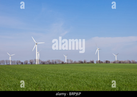 Feld mit Windenergieanlagen. Alternative Energieerzeugung; Stockfoto