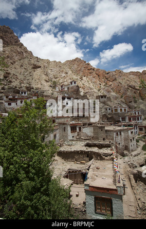 Häuser in Hemis gompa Stockfoto