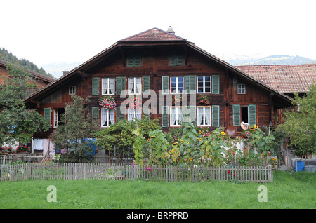 Altes Holzhaus mit typischen Schweizer Kitchengarden vorne in das Dorf Wilderswil Berner Oberland Schweiz Stockfoto