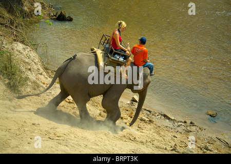 Eine blonde Frau, die Touristen mit einer Kamera, einem Elefanten Reiten in der Nähe von Chiang Mai in Thailand genießen. Stockfoto