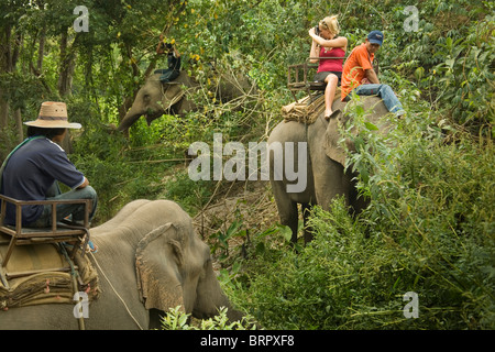 Eine blonde Frau, die Touristen mit einer Kamera, einem Elefanten Reiten in der Nähe von Chiang Mai in Thailand genießen. Drei Elefanten grasen. Stockfoto