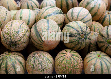 Melone Rock Melon Handelstype Spanspek gestapelt auf Markt Stockfoto