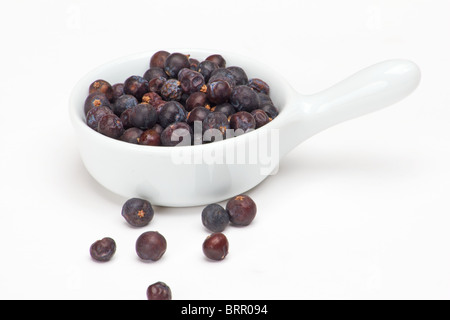 Wacholderbeeren auf weißem Hintergrund Stockfoto