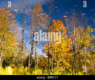 Herbst-Szene in Vermont als Blätter spiegeln sich im ruhigen Fluss Stockfoto