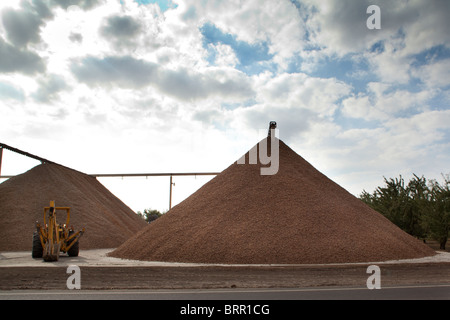 Zwei sehr große Haufen von Mandeln und ein Bagger in Modesto, Kalifornien Stockfoto