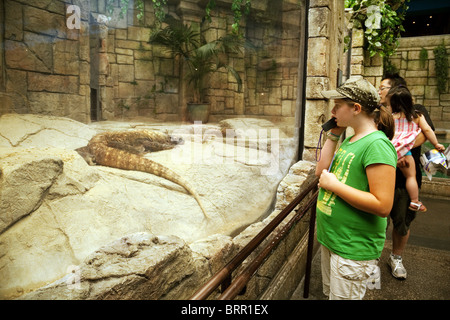 Kinder betrachten eine Gefangenschaft Komodowaran, Shark Reef Aquarium, Mandalay Bay Hotel, Las Vegas USA Stockfoto