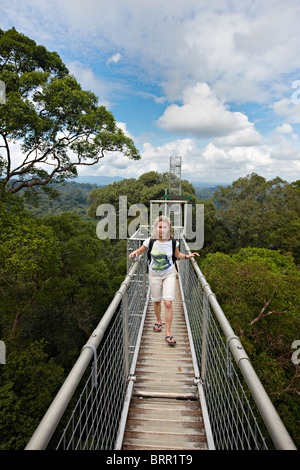 Ulu Temburong National Park, Canopy Walk, Brunei Stockfoto