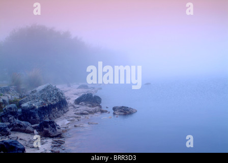 Morgennebel über dem See Stockfoto