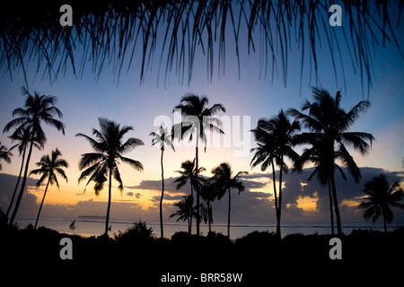 Blick durch eine Reihe von Palmen von einem Dhow Segeln vor der Küste bei Sonnenaufgang über dem indischen Ozean Stockfoto