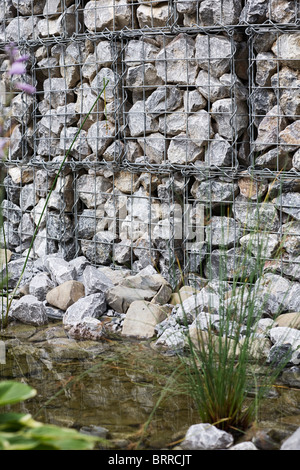 Kleiner Teich mit Pflanzen und Gabionen Wand Stockfoto