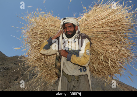 landwirtschaftliche Tätigkeiten in Afghanistan Stockfoto