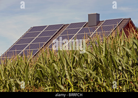 Labyrinth für die Erzeugung von Biogas in der Nähe ein Haus gewachsen mit Solaranlagen ausgestattet Stockfoto