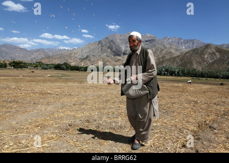 landwirtschaftliche Tätigkeiten in Afghanistan Stockfoto