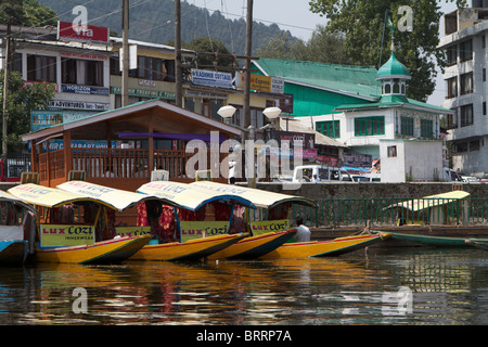 Shikaras auf dem dal-See in srinagar Stockfoto