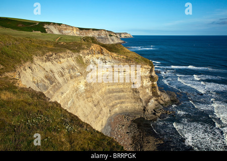 Steile Klippen an der Küste von Yorkshire, nördlich von Robin Hoods Bay, Stockfoto