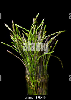 Mediterrane wilder Spargel auf einem schwarzen Hintergrund. Stockfoto