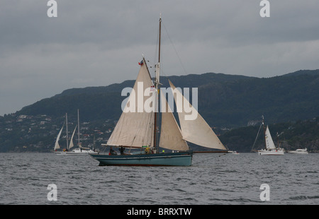 Der große Schiffe Rennen 2008, Bergen Stockfoto