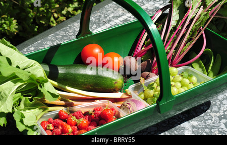 Gärtner Trug gefüllt mit frischem Obst und Gemüse. Stockfoto