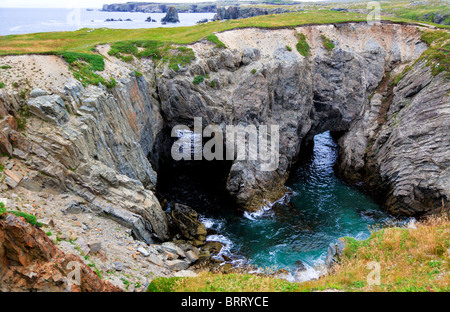 Meer Höhlen und Bögen im Dungeon Provincial Park in der Nähe von Bonavista, Neufundland, Kanada Stockfoto