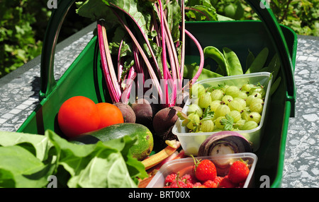 Gärtner Trug gefüllt mit frischem Obst und Gemüse. Stockfoto