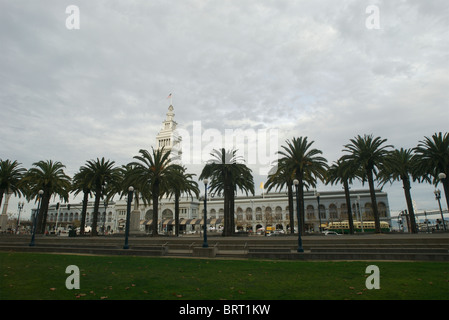 San Fransisco Ferry Building zwischen Palmen gesehen. Stockfoto