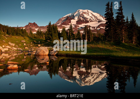 Mount Rainier spiegelt sich in einem Tarn in Spray Park, Mount-Rainier-Nationalpark, Washington. Stockfoto
