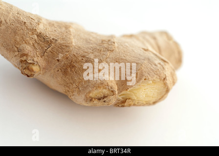 Ingwerwurzel Stockfoto