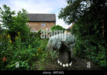 Kleinen Bauerngarten mit eingemachten Lavendel Oxfordshire UK Stockfoto