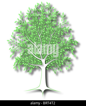 Abbildung eines Ausschnitts Baumes mit Schattierung Stockfoto