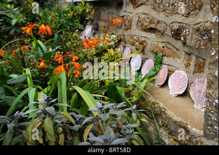 Kleinen Bauerngarten mit rote Crocosmia Blumen und Kräuter lila Salbei unter Oxfordshire UK Stockfoto