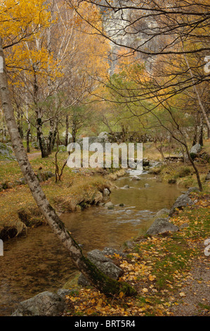 Herbstliche Szene am Covão d'Ametade, Naturpark Serra Da Estrela, Portugal Stockfoto