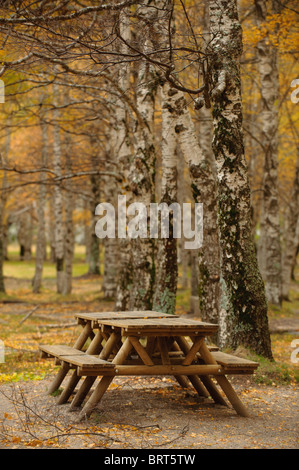 Herbstliche Szene am Covão d'Ametade, Naturpark Serra Da Estrela, Portugal Stockfoto